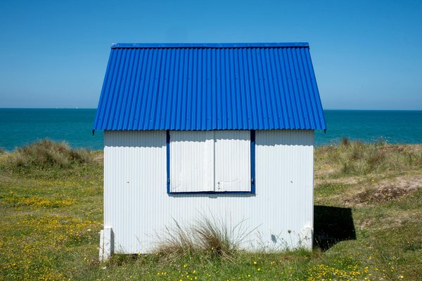 Unlock Dartmoor"s Bronze Age Secrets: Your Guide to Organizing an Enriching Historical Tour