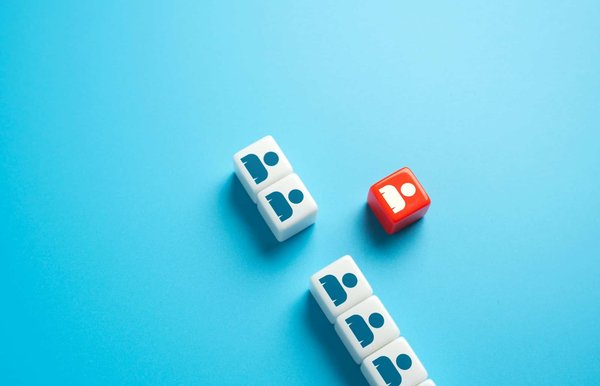 Discover Your Perfect Scottish Islands Getaway: Wildlife Photography Tours Await!